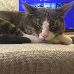 Meet your Posher, Vivian